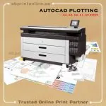 AUTO CAD PLOTTING COLOR copy