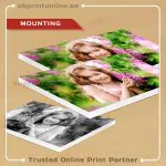 PICTURE MOUNTING