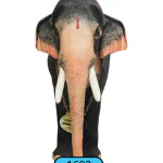 ONAM-CUTOUT-STANDARD-LARGE-180CM-1693