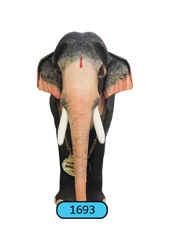 ONAM-CUTOUT-STANDARD-LARGE-180CM-1693 - Image 1