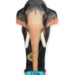 ONAM-CUTOUT-STANDARD-JUMBO-220CM-1704