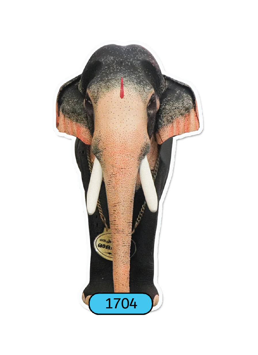 ONAM-CUTOUT-STANDARD-JUMBO-220CM-1704 - Image 1